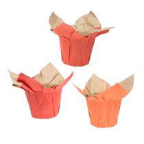 Itens Vaso de papel laranja / vermelho Ø8cm 12 unidades