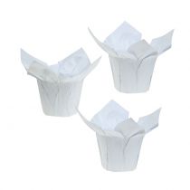 Potes de papel branco Ø8cm 12 unidades