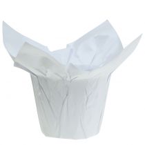 Potes de papel branco Ø8cm 12 unidades
