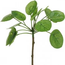 Peperomia Planta verde artificial com folhas 30cm