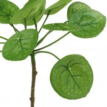 Peperomia Planta verde artificial com folhas 30cm
