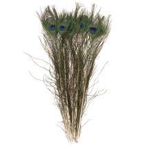 Itens Penas de pavão, penas de ave verdadeiras para artesanato e decoração, 55 cm, 10 peças