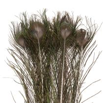 Itens Penas de pavão, penas de ave verdadeiras para artesanato e decoração, 55 cm, 10 peças