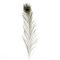 Penas de pavão decoração penas de pássaros reais longas 70 cm 16 unidades