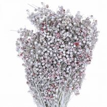 Itens Bagas de pimenta nevada, decoração de inverno, flores secas, Advento, pimenta rosa lavada branca 170g