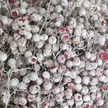 Itens Bagas de pimenta nevada, decoração de inverno, flores secas, Advento, pimenta rosa lavada branca 170g