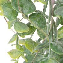 Itens Guirlanda artificial de eucalipto para decoração de interiores e exteriores, 92 cm