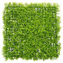 Itens Tapete de buxo artificial 55x55 cm para decoração de parede
