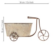 Itens Vaso para bicicleta para plantio de flores, bicicleta, cinza ferrugem, 34×16×18cm