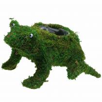 Itens Sapo plantador com verde musgo 35 × 25cm Alt.21cm