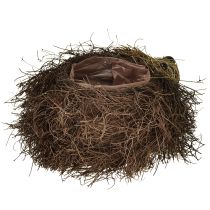 Itens Vaso ouriço feito de trepadeiras 22cm x 25cm