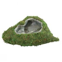 Coração de planta verde musgo planta tigela coração 26×30×8cm