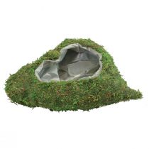 Itens Coração de planta verde musgo planta tigela coração 26×30×8cm