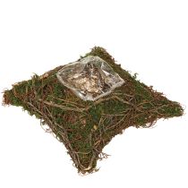 Itens Almofada para plantas, videiras, musgo, vaso para plantas natural 20×20×6,5cm