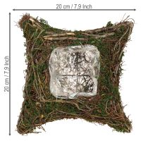 Itens Almofada para plantas, videiras, musgo, vaso para plantas natural 20×20×6,5cm