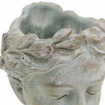 Itens Busto cabeça de planta cinza-azulado Ø8cm H15cm