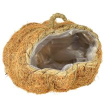 Itens Cesta de plantas abóbora decoração de outono laranja Ø22cm H17cm