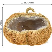 Itens Cesta de plantas abóbora decoração de outono laranja Ø22cm H17cm