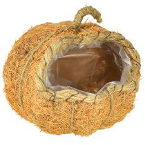 Itens Cesta de plantas abóbora com folha de alumínio decoração de outono laranja Ø18cm H15cm