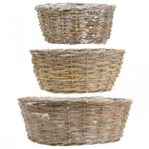 Itens Conjunto de 3 cestos de vime, floreiras, cestos decorativos, estilo vintage com acabamento branco lavado, Ø21,5/26/31cm para casa e jardim.
