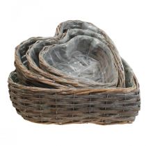 Cesto de plantas cesto decorativo em forma de coração salgueiro de plantas conjunto de 4