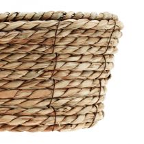 Cesto para plantas cesto de ervas marinhas cesto decorativo oval 32×19×12cm