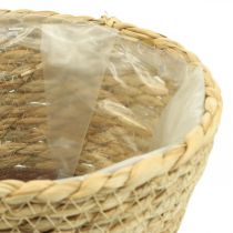 Cesto para plantas plantador cesto de ervas marinhas deco nature Ø19cm A16cm