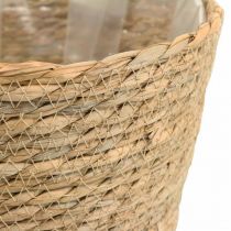 Cesto para plantas plantador cesto de ervas marinhas deco nature Ø23cm H20cm