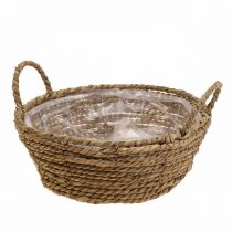 Cesto para plantas cesto redondo de ervas marinhas com pegas cesto decorativo Ø25cm A9cm