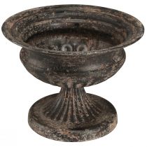 Itens Cálice para Plantas Antigo Look Preto Marrom Ø20cm Alt.15cm