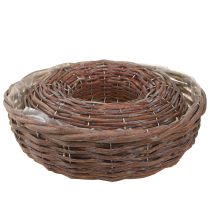 Itens Anel de plantio, vaso para plantio, madeira, cinza natural, Ø30/35cm, conjunto de 2.