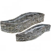 Vaso para plantas, caixa para plantas cinza 48,5/31,5 cm conjunto de 2