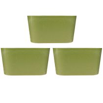 Itens Vaso oval para plantas, verde, plástico, 20×10×11cm, 3 unidades