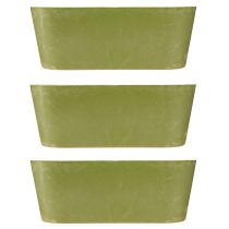 Itens Tigela para plantas tigela verde oval de plástico 27 × 11 × 10 cm 3 unidades
