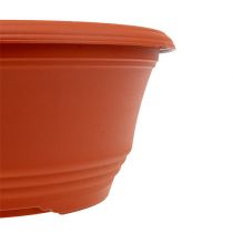 Itens Tigela para plantas em plástico terracota Ø27cm, 1 peça