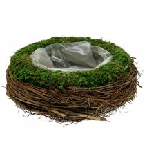 Tigela para plantas em vime, musgo Ø26cm H9cm