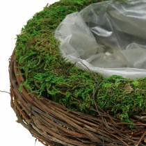 Tigela para plantas em vime, musgo Ø26cm H9cm