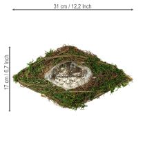 Itens Vaso para plantio de trepadeiras e musgo 31×17×6cm