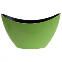 Itens Planta barco tigela decorativa verde oval 20cmx9cmx12cm