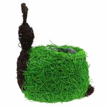 Itens Floreira Caracol Videira Natural, Verde 21x14cm A26cm