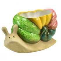 Itens Vaso decorativo de caracol em cerâmica colorido 19cmx8,5cmx11cm