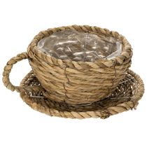 Itens Cesto em formato de xícara de chá para decoração natural e ambiente charmoso, 15 cm