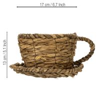 Itens Vaso para plantas com pires, pequeno cesto de palha para plantio, Ø17cm A13cm