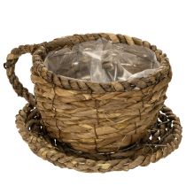 Itens Vaso para plantas com pires, pequeno cesto de palha para plantio, Ø17cm A13cm