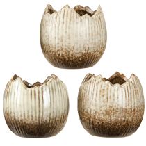 Itens Vaso de Cerâmica Ovo Quebrado Creme Marrom Ø9,5cm 3 Unidades
