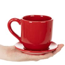Itens Xícara decorativa grande com pires, ideal para usar como vaso de plantas, 17 cm