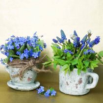 Itens Vaso para plantas com pires vintage cinza, tom natural Ø8cm Alt.6,5cm 4 unidades