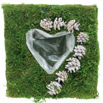 Almofada de plantas musgo e cones de coração, lavados de branco 25 × 25 cm