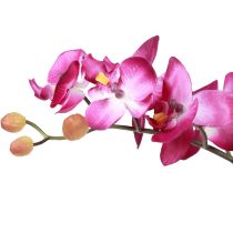 Itens Orquídeas artificiais em vaso Phalaenopsis flores artificiais orquídeas rosa 34cm