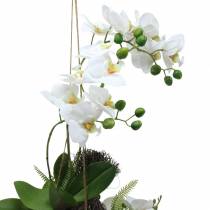 Orquídea com Bolas de Samambaia e Musgo Branco Artificial Suspenso 64cm